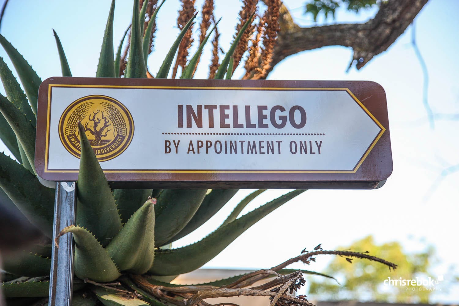 Swartland Revolution Street Party